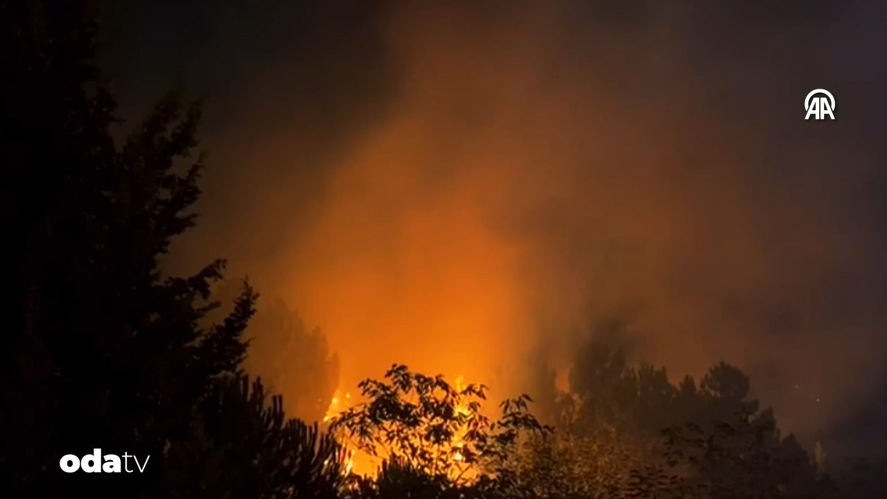 beykozda orman yangini CcsCsHIH