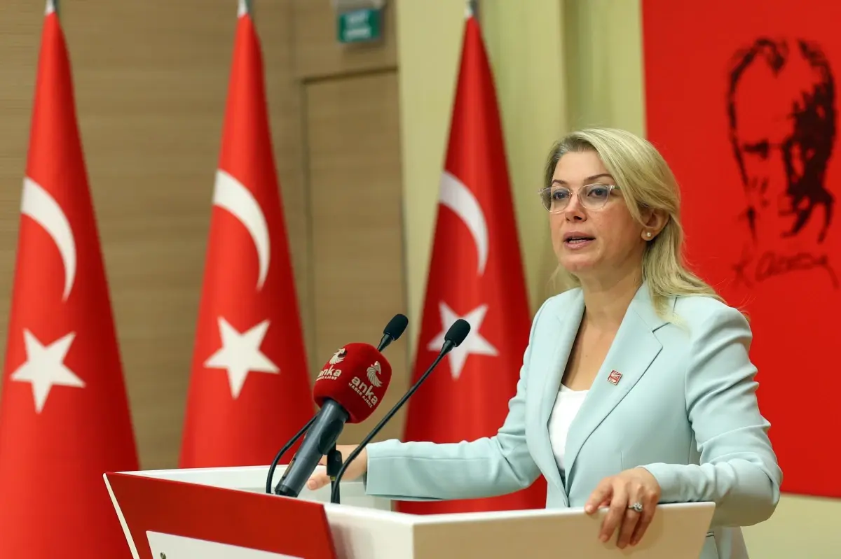 kiz cocuklarinin haklari ve istanbul sozlesmesi uzerine chp aciklamasi AL22JEUQ