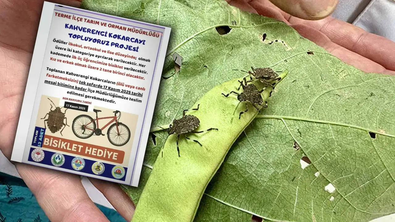 kokarca toplama projesine chpden tepki bilimle mucadele edecegimize cocuklari kullaniyoruz b8cl83NI.jpg