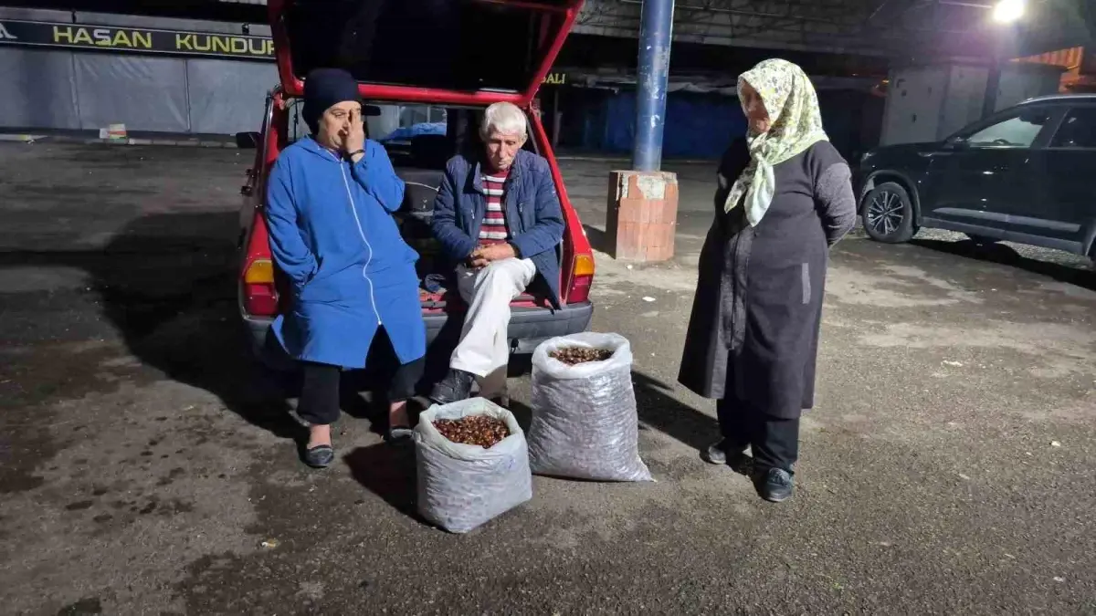 kuraklik kestane rekoltesini vurdu fiyatlar yukseliyor GKfuqCXS.jpg