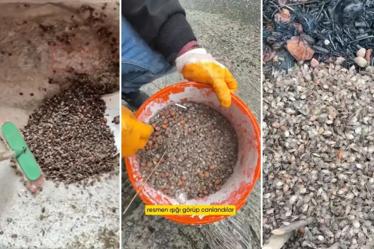 turkiyenin oteki gundemi son virajdayiz diyen vatandastan endiselendiren sozler PvBVTPuJ.jpg