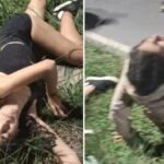 Aileleriyle tartisip evden kacan genc kizlar bakin ne halde bulundu 7vIshPGC