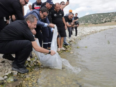 Porsuk baraji goletinde ekosisteme can suyu 107 bin 500 yavru balik sularla bulustu ED3zgqbE